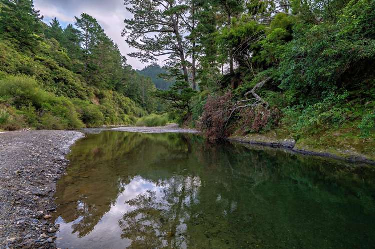 250 Pakihi Road Opotiki_47