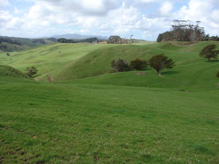 259 Arapohue Road Dargaville Surrounds_6