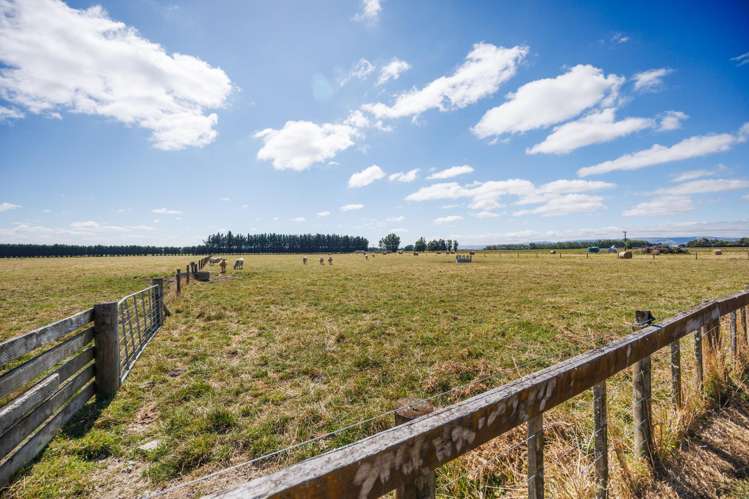 571 Kairanga Bunnythorpe Road Milson_15