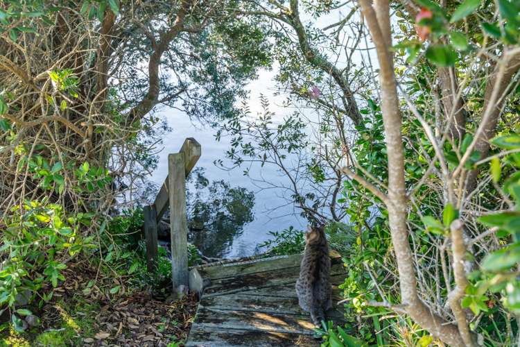 7 Moir Street Mangawhai_8
