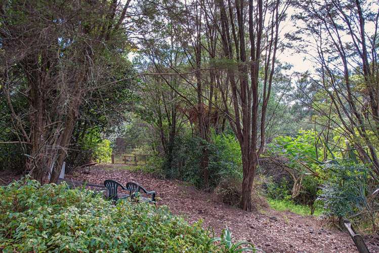 469 Kauri Road Onewhero_7