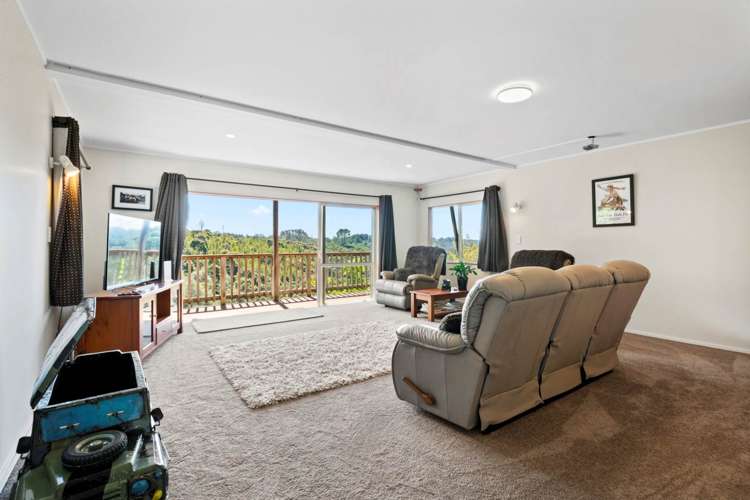 352 Wright Road Dairy Flat_23