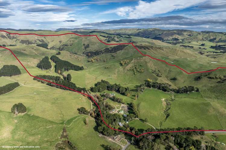 467 Waitahora Valley Road Dannevirke_46