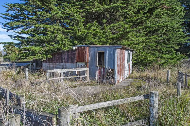 238 Bethels Road Springston_14