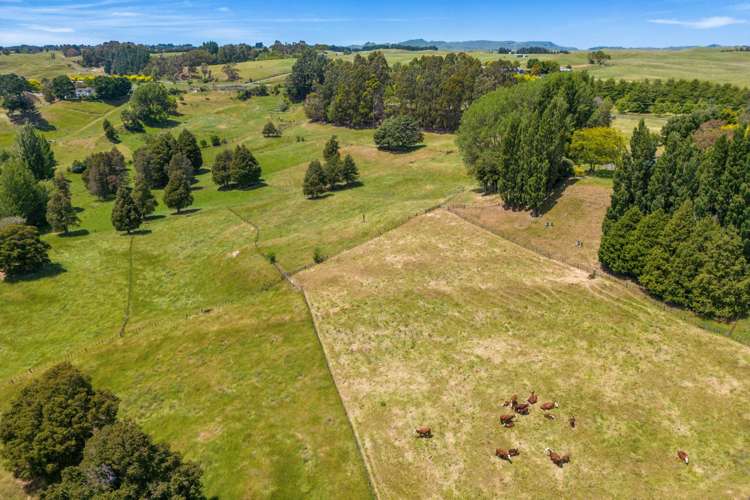 227 Tipapakuku Road Dannevirke_35