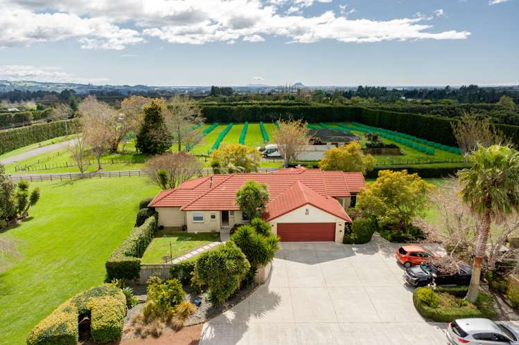 563 Belk Road Kaimai_0