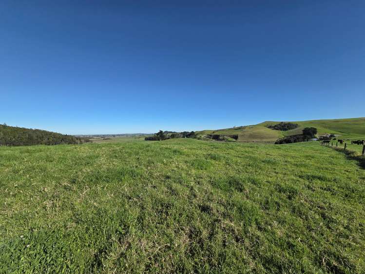 Lot 7 Mititai Road Dargaville_6
