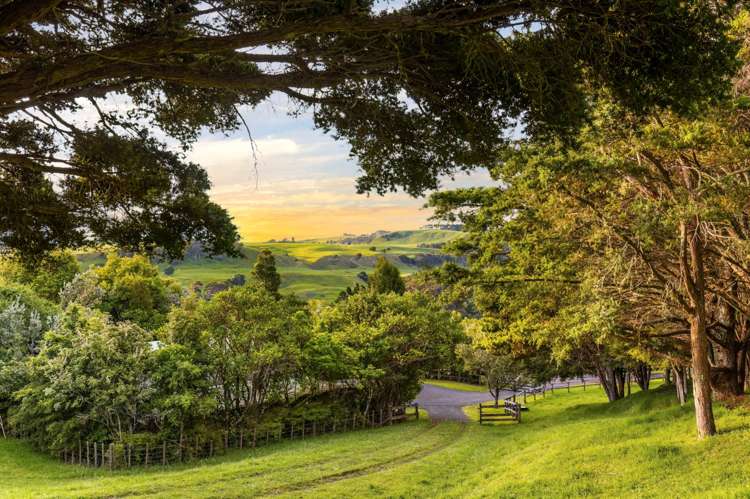 85 Taylor Road Waimauku_5