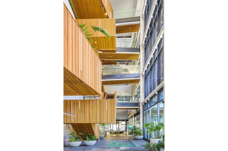 213 Tuam Street Christchurch Central_5