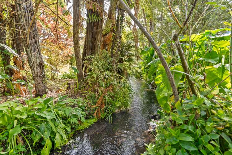 71 Cole Street Masterton_33