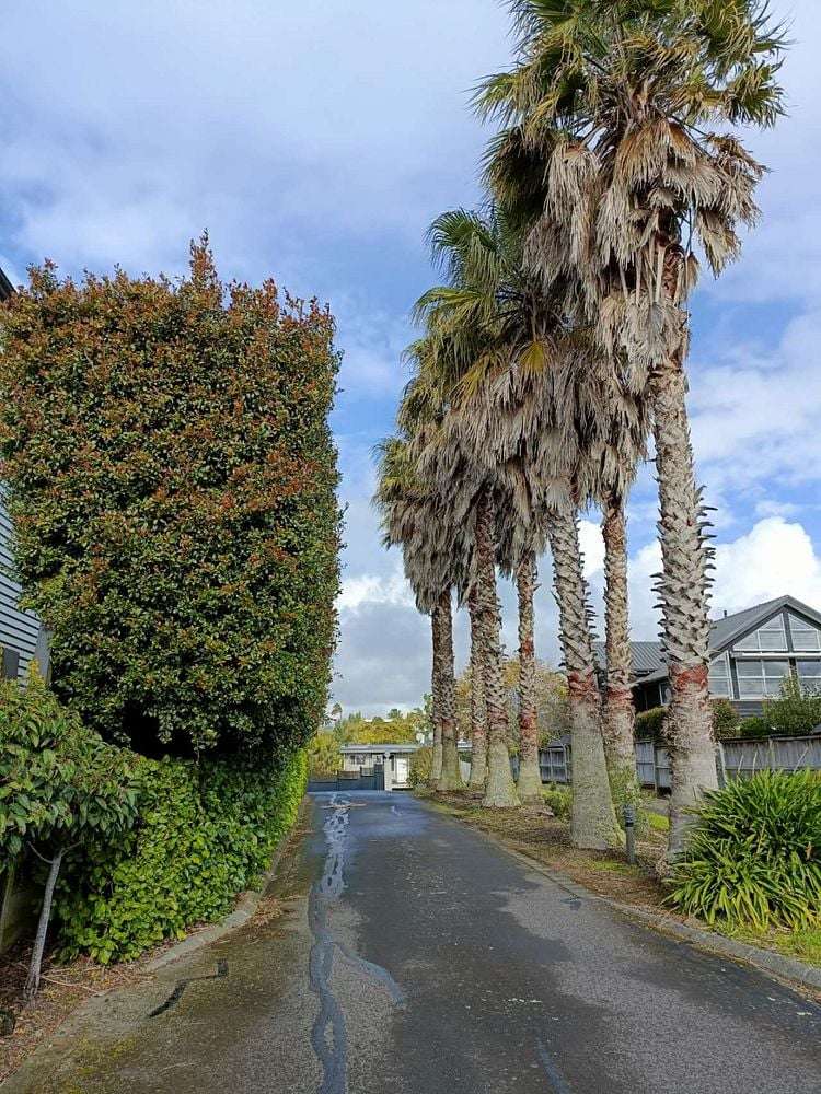 2/32 Tarawera Terrace St Heliers_18