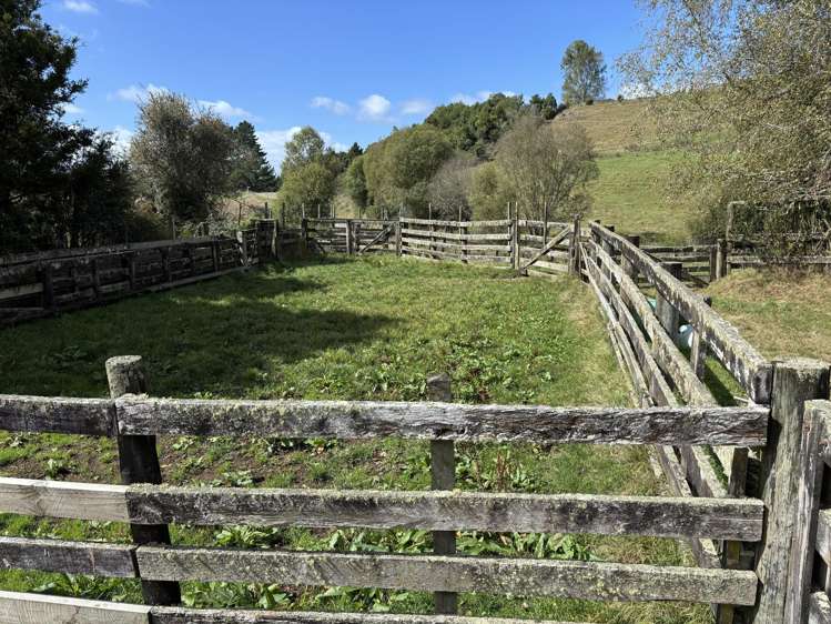 Paraketu Road Waimiha_24