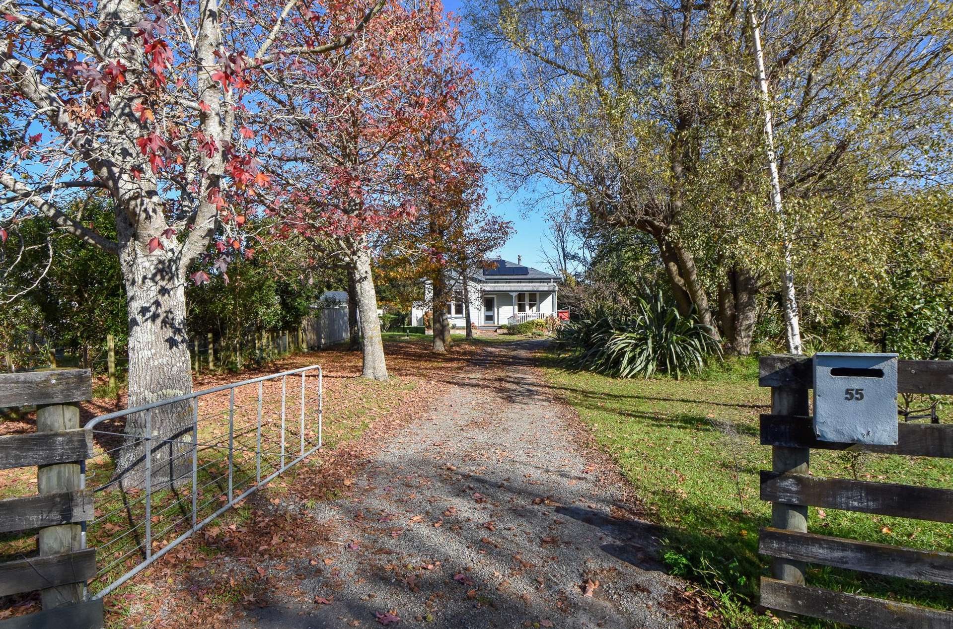 55 Costley Street Carterton_0