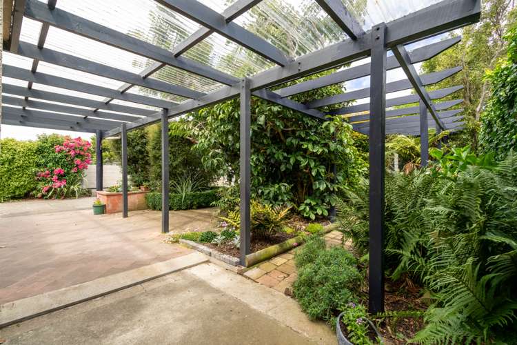 319 Chelmsford Street Waverley_18