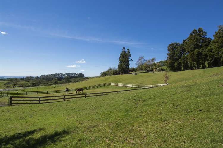 97 Ross Road Whakamarama_15