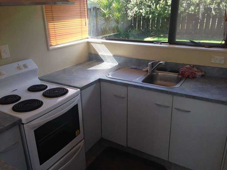 14 Antrim Place Nawton_5