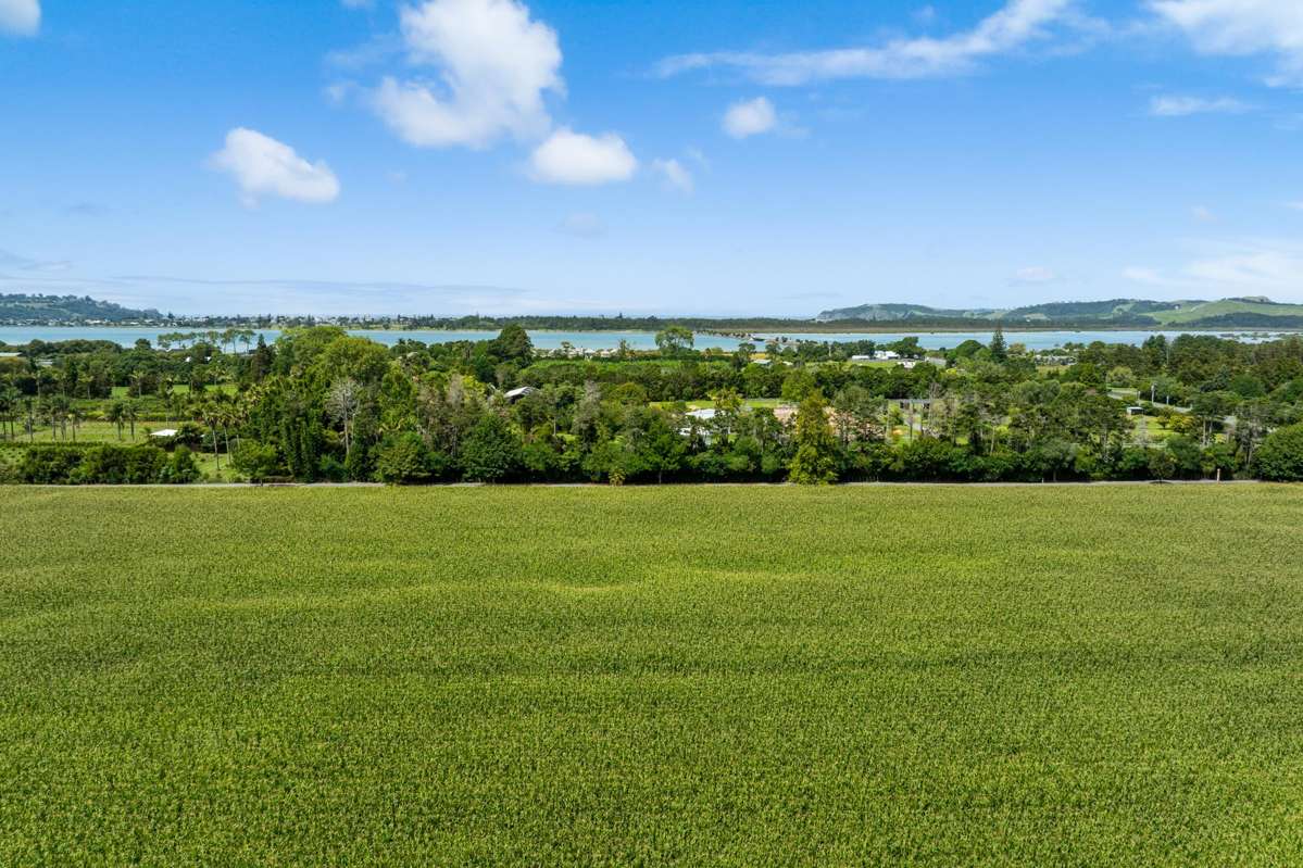 Lot LOT 5/DP160216 Omaha Flats Road_4