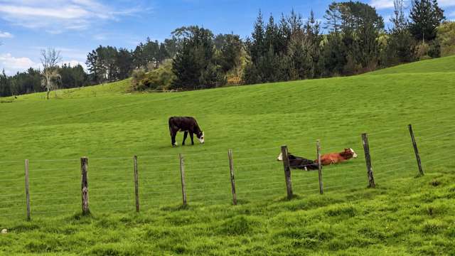 2393A Hunua Road Hunua_3