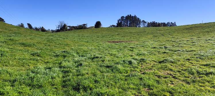 - Lot 1 Tarata Road Inglewood_11