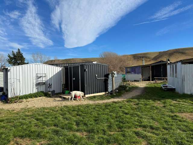 779 Ardgour Road Tarras_3