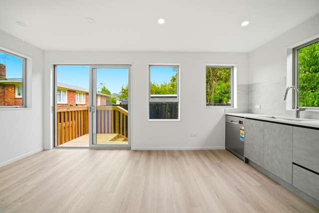 26E Trojan Crescent New Lynn_3
