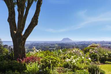 179B Crawford Road_3