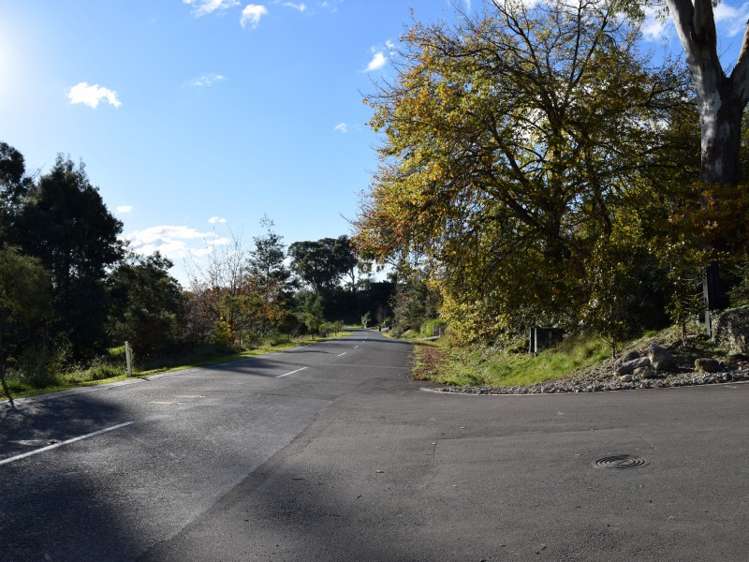 53 Margaret Avenue Mount Albert_11