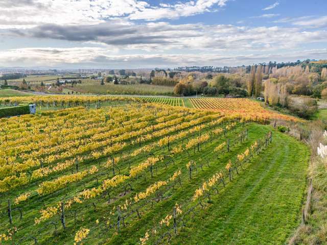 Blank Canvas Awaits On River And Village Edge