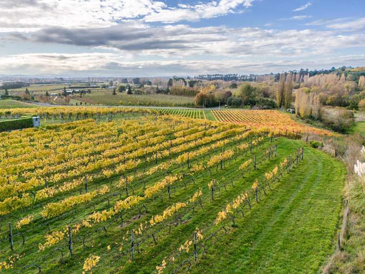 56 River Road Havelock North_11