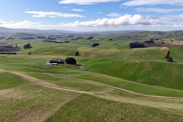 156 Elephant Hill Back Road Waimate_1