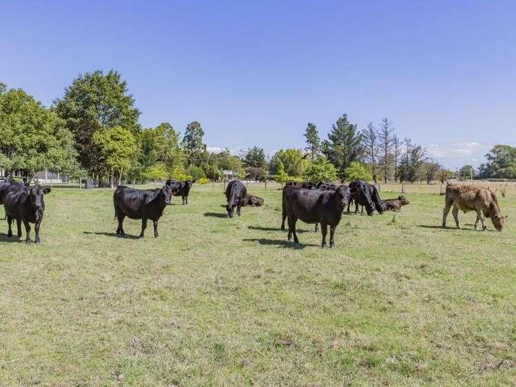 31 Church Bush Road Tuahiwi_22