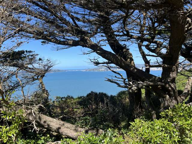 52A Dungarvan Road Newlands_2