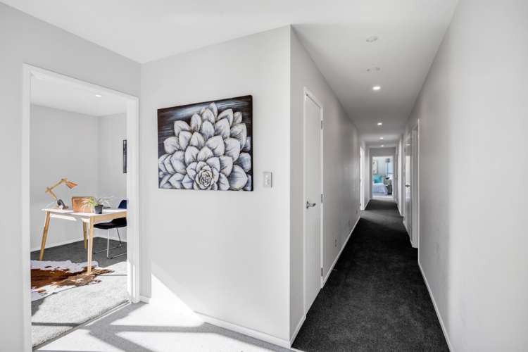 17a Winstone Place Highlands Park_10