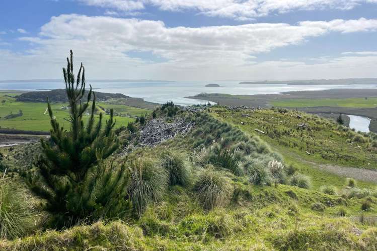 3716 Kaipara Coast Highway Mangakura_17