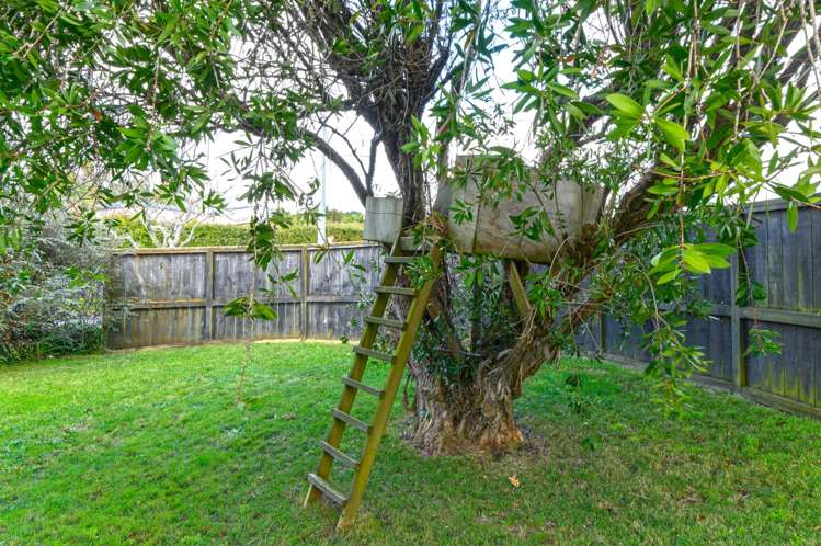 31 Columbia Road Sandringham_1