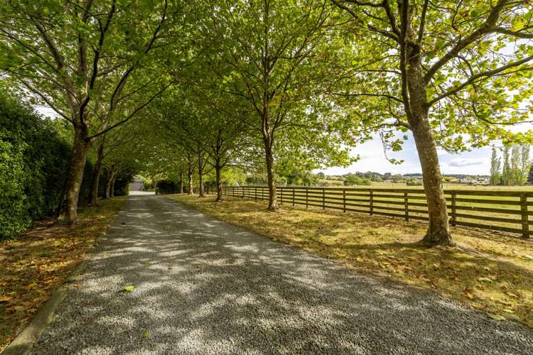 120 Cox Street Geraldine_28