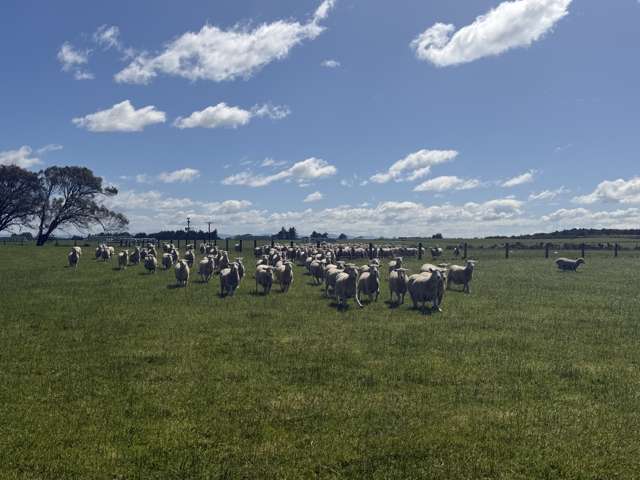 166 Brand Road Kennington_2