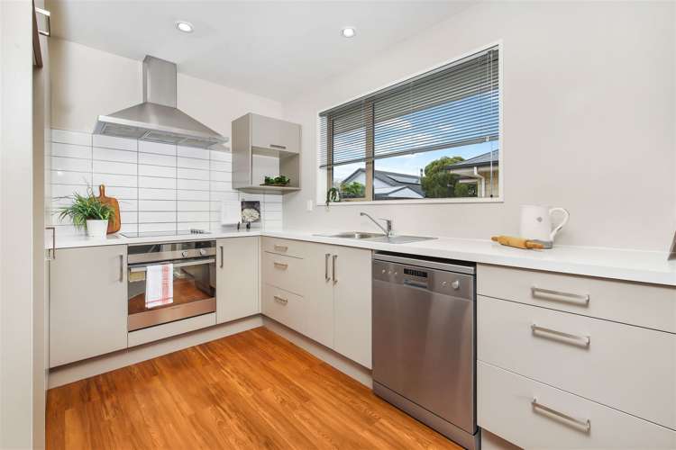 25 Seddon Street Sydenham_4