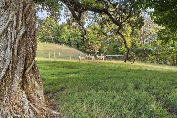 987 Hibiscus Coast Highway Waiwera_37