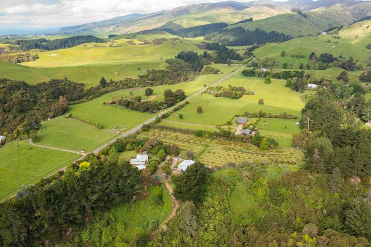 52 No 4 Line Ashhurst_25