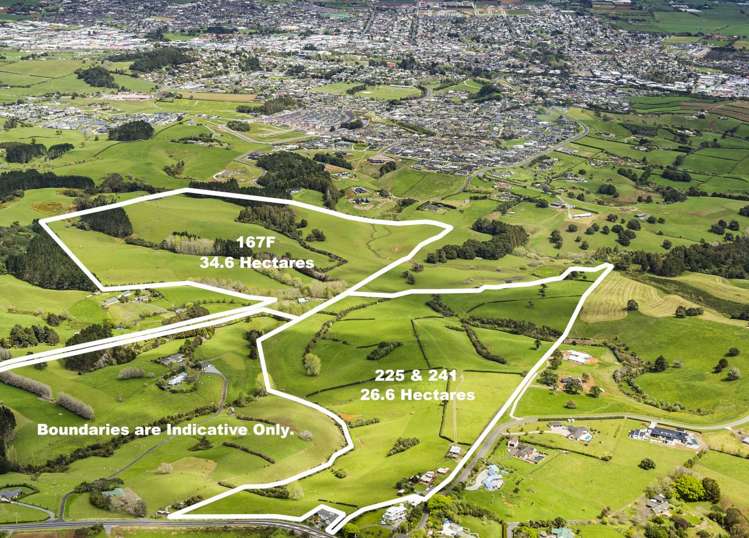 Runciman Road Pukekohe East_8