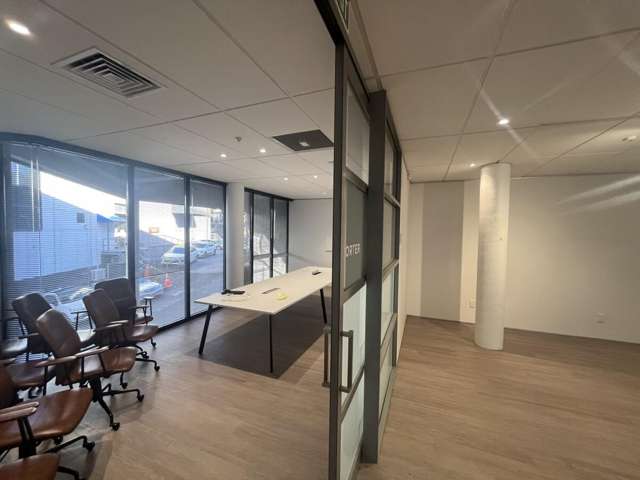 5 Wilkins Street Freemans Bay_3