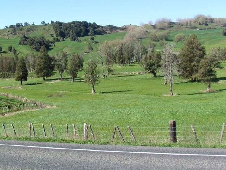 245 Oparure Road Te Kuiti_13