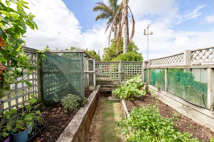 10 Harris Place Ngatea_26