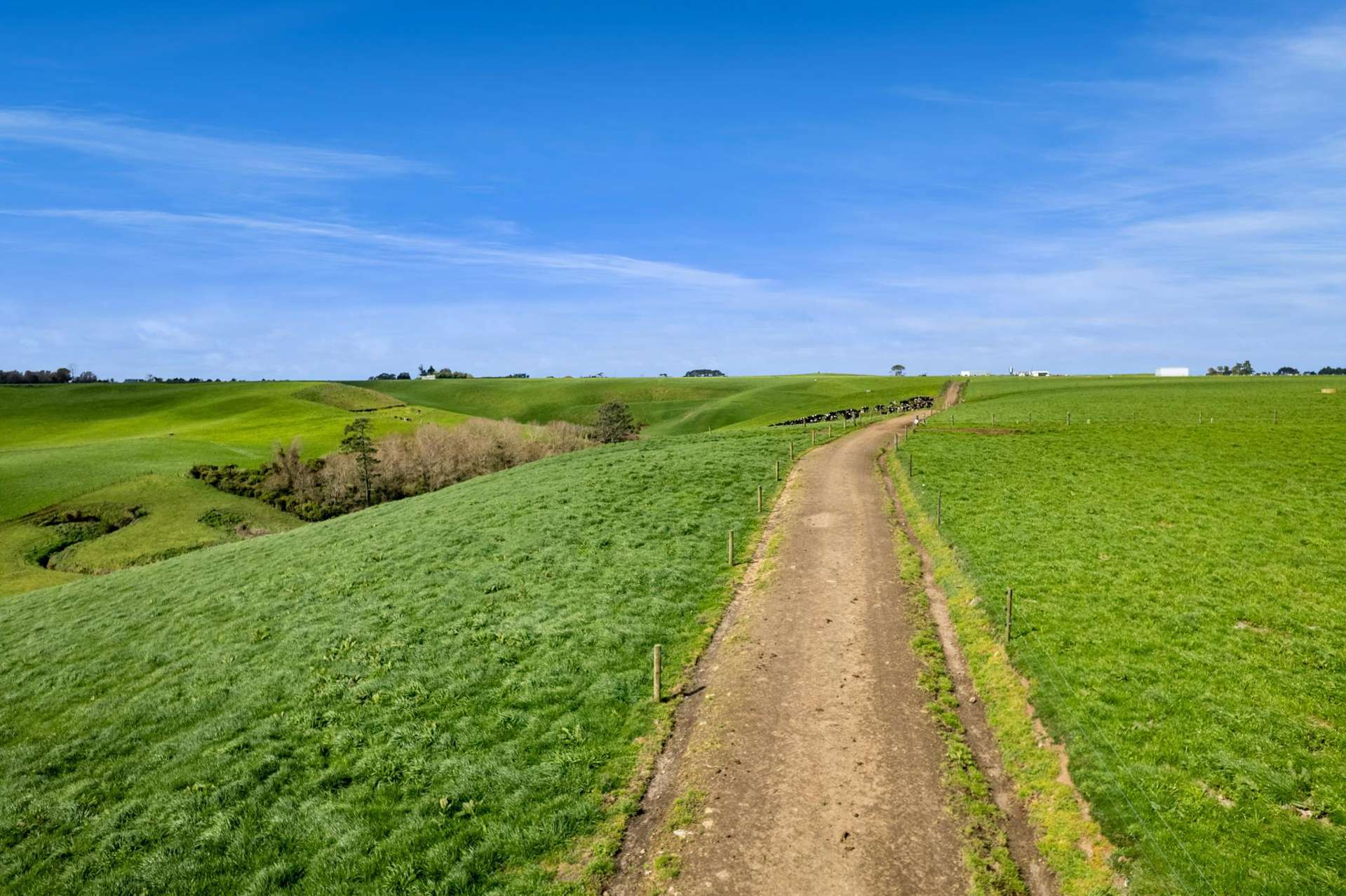 5200B Mountain Road Eltham_0