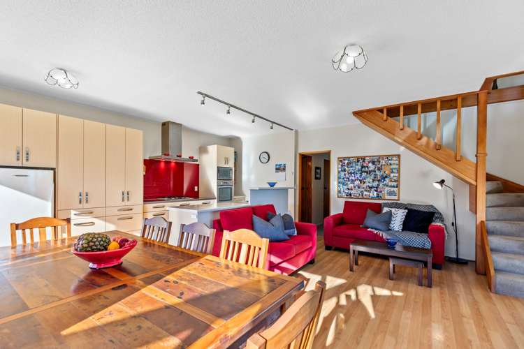 342 Youngson Road Whakamarama_7