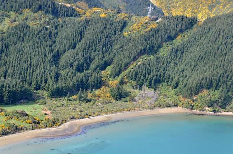 465 Tumbledown Bay Road Port Underwood_10