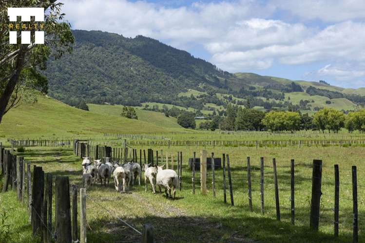6455 State Highway 1 Kaitaia_9
