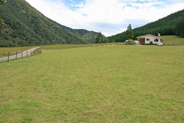 994 Maungatapu Road Rai Valley_18