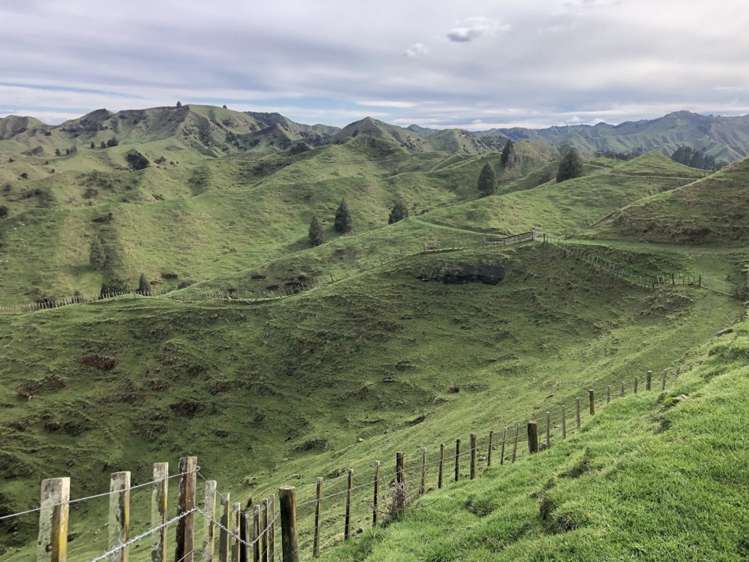 166 Saddler Road Ruapehu_1